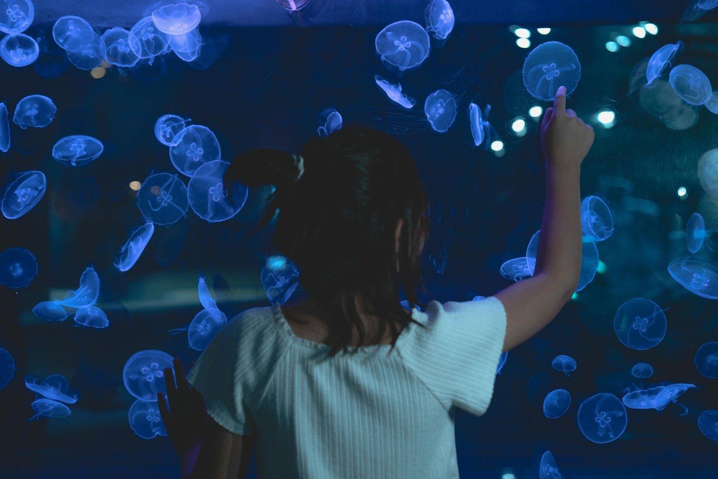 Penguin Sleepover at Long Island Aquarium