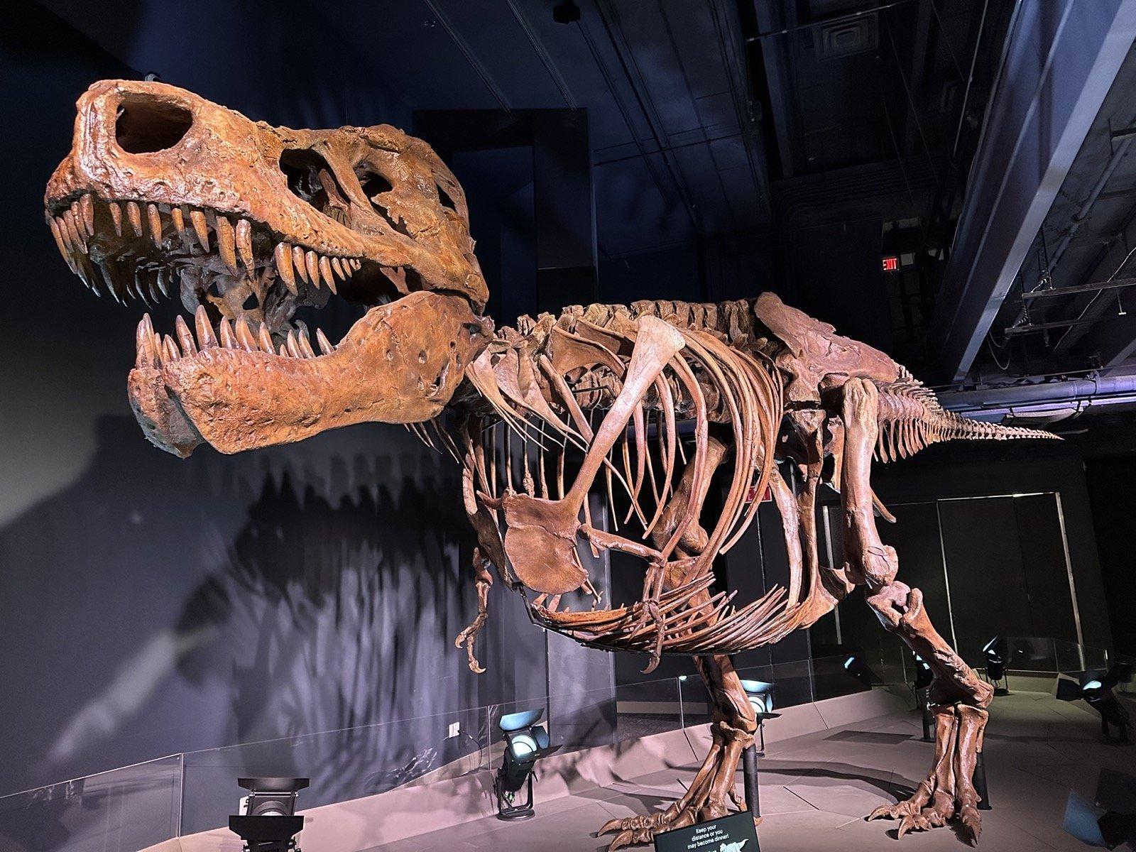 Six great dino destinations worth the drive (and it's not AMNH)