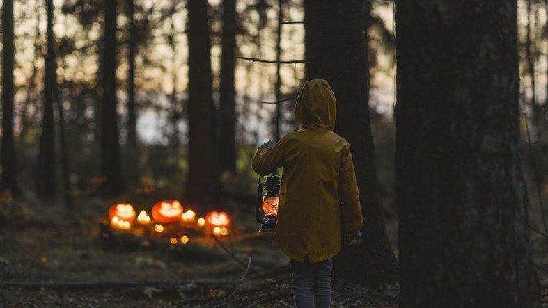 Autumn Lantern Walk at Hallock State Park