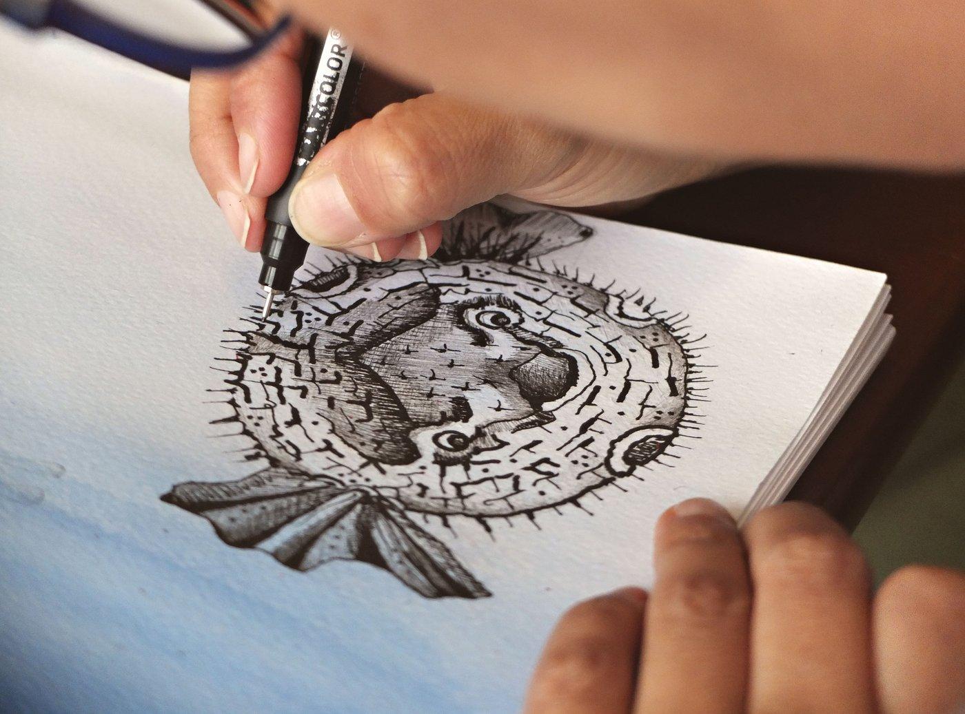 Drawing and Seeing Animals at SOFO