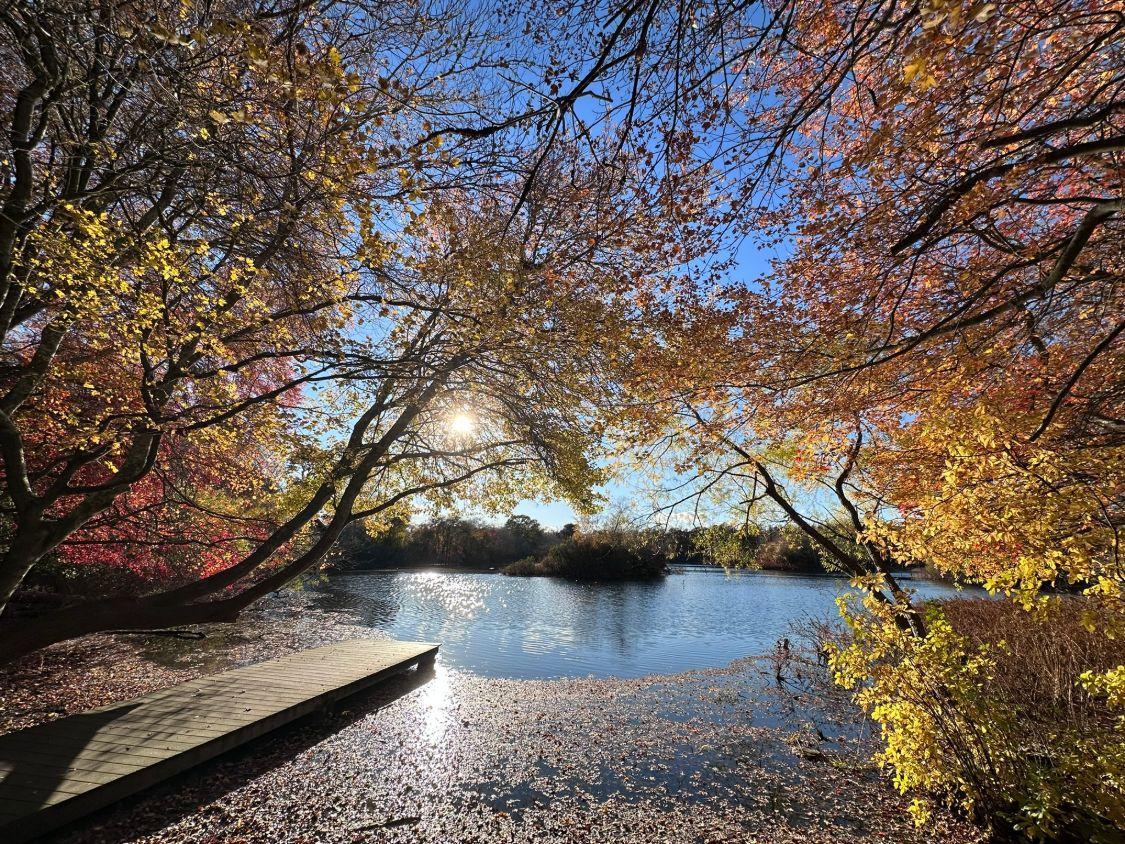 Fall Foliage Paddle Tour on Old Ice Pond