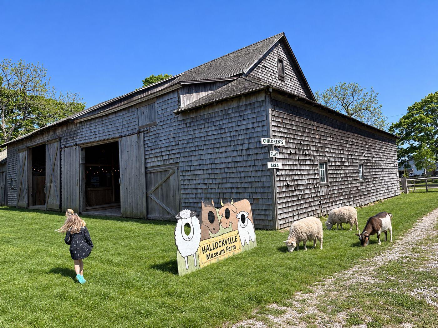 Country Fair at Hallockville Museum Farm