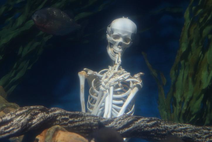 Spooky Seas at Mystic Aquarium