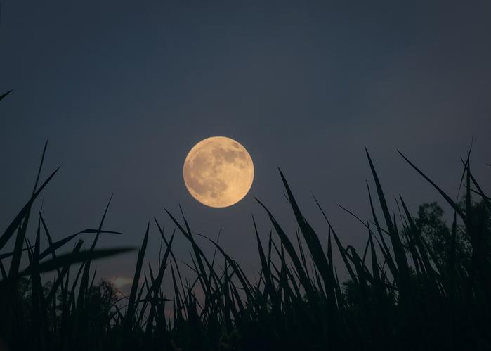 Hunter's Supermoon Hike at SOFO