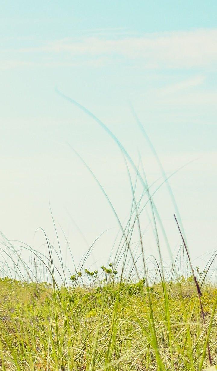 Take 2 with Farm Hands