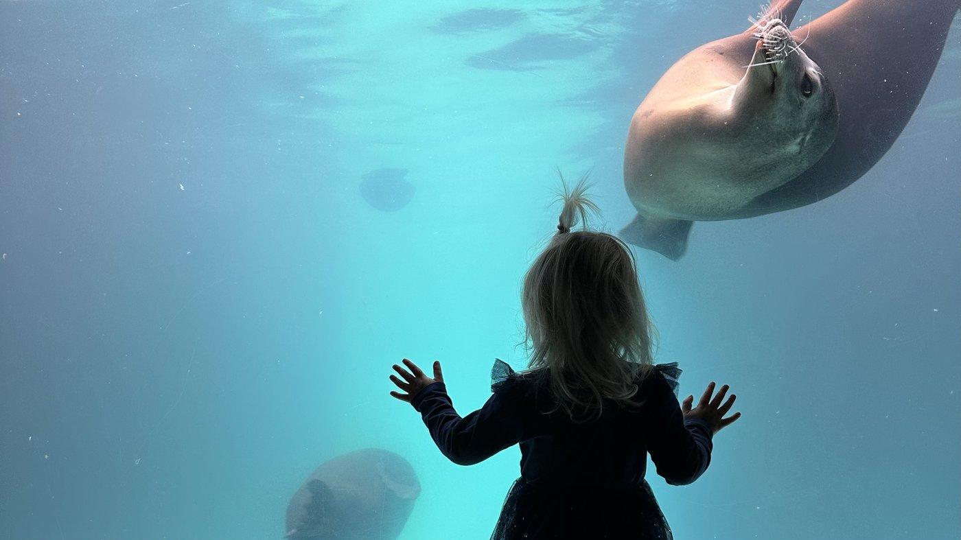 Long Island Aquarium — Sea Squirt & Shark Bait