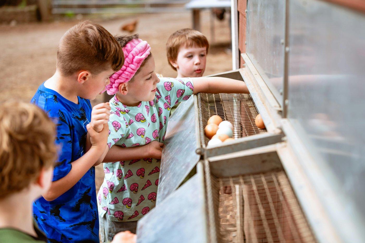 Browder's Birds Farm Camp
