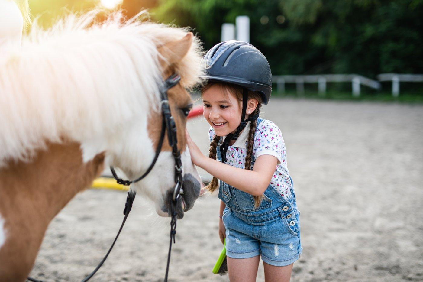 Hedgewood Farm Pony Camp