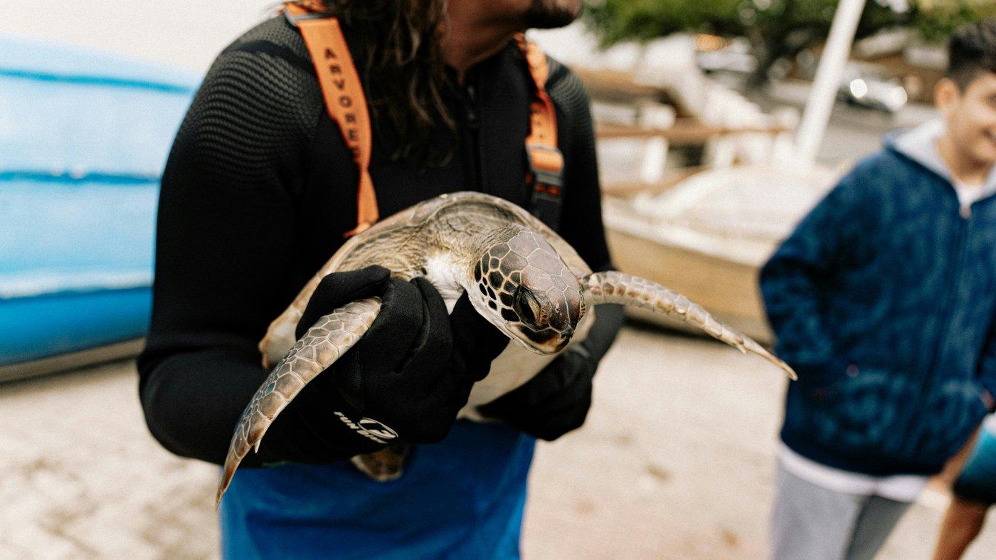 NY Marine Rescue Center Workshop