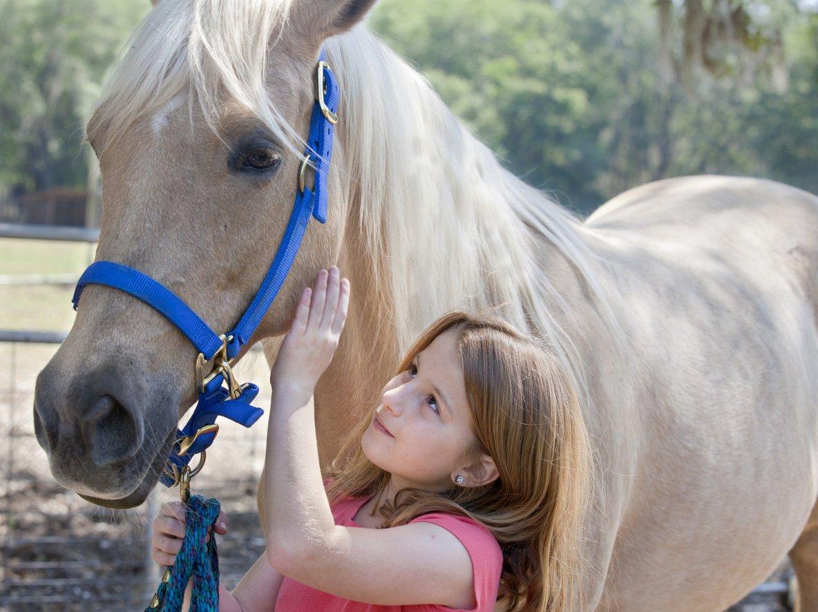The Little Red Barn — Intro to Horses