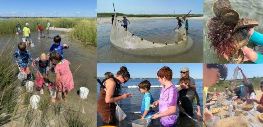 Tiana Bayside Summer Programs