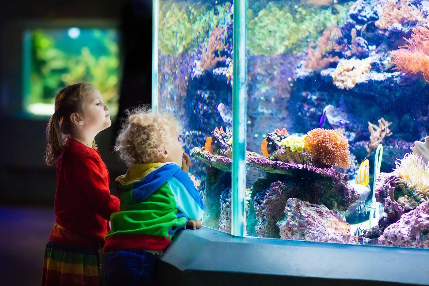 Long Island Aquarium Summer Adventure Days