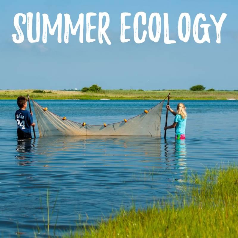 Quogue Wildlife Refuge — Summer Ecology